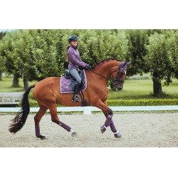 Reithose Equestrian Stockholm Elite Damen Grau