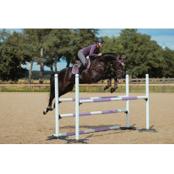 Reithose Equestrian Stockholm Elite Damen Grau