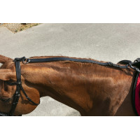 Norton Pulley Ausbinder Schwarz