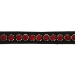 Frontal Norton Pro Strass Frontal Norton Pro Strass
