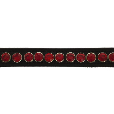 Frontal Norton Pro Strass Frontal Norton Pro Strass