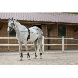 Lange Zügel Riding World Leder / Seil Lange Zügel Riding World Leder / Seil