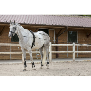 Lange Zügel Riding World Leder / Seil Lange Zügel Riding World Leder / Seil