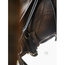 Nasenriemenschutz Equestrian Stockholm Braun