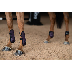 Fesselkopfgamaschen Equestrian Stockholm anatomic Raben-schwarz