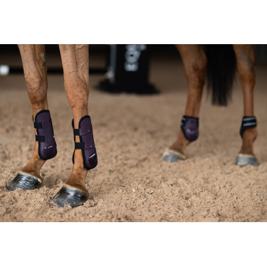 Fesselkopfgamaschen Equestrian Stockholm anatomic Raben-schwarz