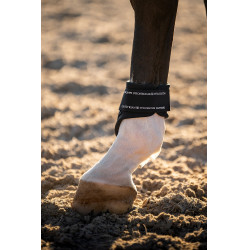 Fesselkopfgamaschen Equestrian Stockholm anatomic Marine moderne Tech Marineblau