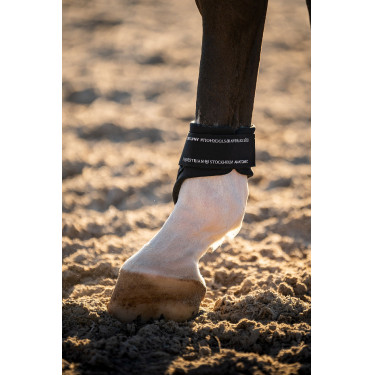 Fesselkopfgamaschen Equestrian Stockholm anatomic Marine moderne Tech Marineblau