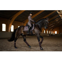 Dressur-Schabracke Equestrian Stockholm Amaranthe Dressur-Schabracke Equestrian Stockholm Amaranthe