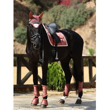Dressur-Schabracke Equestrian Stockholm Rosa Bernstein