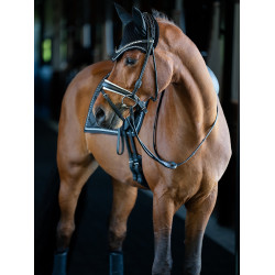 Dressur-Schabracke Equestrian Stockholm Schwarz Edition Dressur-Schabracke Equestrian Stockholm Schwarz Edition