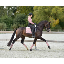 Dressur-Schabracke Equestrian Stockholm Rosa Perle