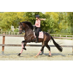 Dressur-Schabracke Equestrian Stockholm Rosa Perle