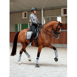 Dressurschabracke Equestrian Stockholm Performance Sportlicher blauer Eschenholz-Sattelbaum Dressurschabracke Equestrian Stockholm Performance Sportlicher blauer Eschenholz-Sattelbaum