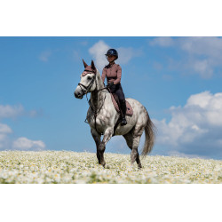 Equestrian Stockholm Springsatteldecke Amaranthe Equestrian Stockholm Springsatteldecke Amaranthe