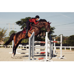 Equestrian Stockholm Springsatteldecke Bordeaux