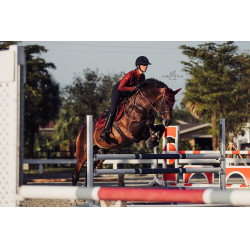 Equestrian Stockholm Springsatteldecke Bordeaux