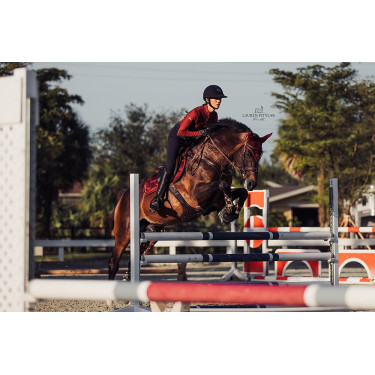 Equestrian Stockholm Springsatteldecke Bordeaux