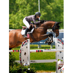 Spring-Schabracke Equestrian Stockholm Modern Dunkles Violettweiß Wei&amp;szlig;