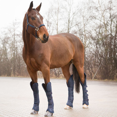 Transportgamaschen Spirit Shipping Horze Transportgamaschen Spirit Shipping Horze
