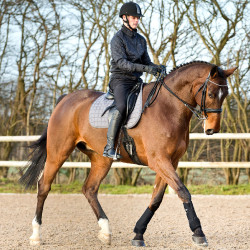 Neopren-Gamaschen Horze Supreme Schwarz Neopren-Gamaschen Horze Supreme Schwarz