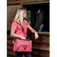 LeMieux ProKit Lite Grooming Putztasche Cranberry Rosa