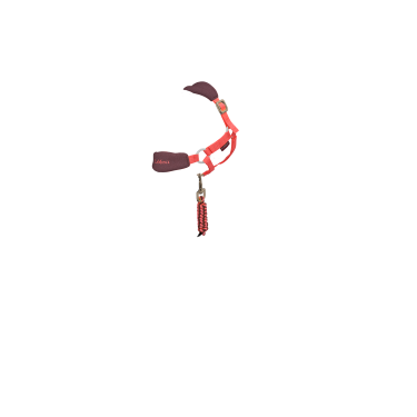 Halfter Vogue für Spielzeug-Mini-Pony LeMieux Halfter Vogue für Spielzeug-Mini-Pony LeMieux