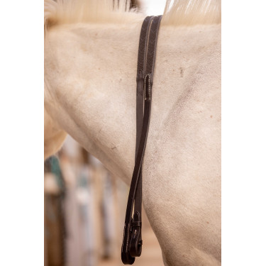 Zügel Eden Pénélope Havanna Braun