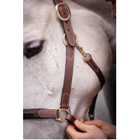 Lederhalfter mit 3 Karabinern Paddock Sports Havanna Braun