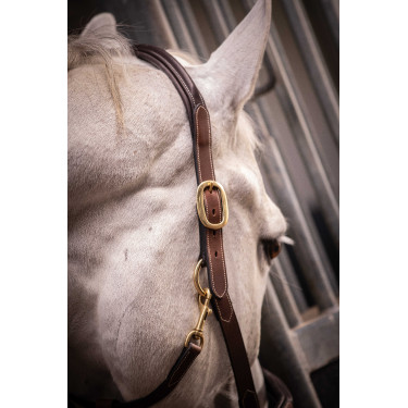 Lederhalfter mit 3 Karabinern Paddock Sports Havanna Braun Lederhalfter mit 3 Karabinern Paddock Sports Havanna Braun