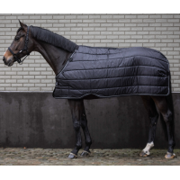 Unterdecke Armadillo Lami-Cell 100 g Schwarz