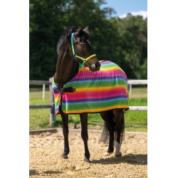 Abschwitzdecke Rainbow für Shettys HKM Mehrfarbige Streifen