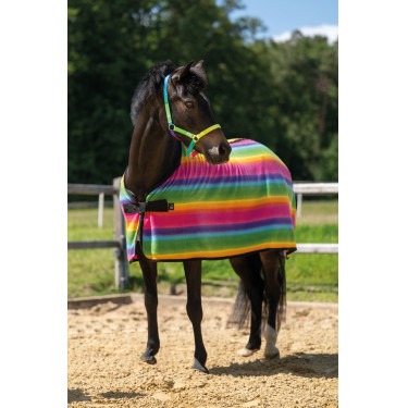 Abschwitzdecke Rainbow für Shettys HKM Mehrfarbige Streifen