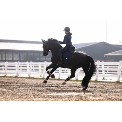 Pikeur Arezzo Reithose mit Ganzbesatz aus Silikon Lauria Garrelli Dunkelblau