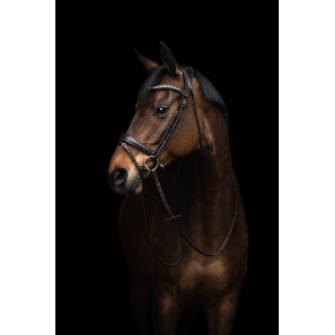 Trensenzaum Arezzo Lauria Garrelli Dunkelbraun