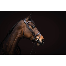 Trensenzaum Arezzo Lauria Garrelli Dunkelbraun