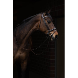 Trensenzaum Arezzo Lauria Garrelli Dunkelbraun