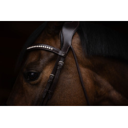 Trensenzaum Arezzo Lauria Garrelli Dunkelbraun