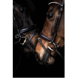 Trensenzaum Arezzo Lauria Garrelli Dunkelbraun