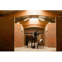 Abschwitzdecke Arezzo Lauria Garrelli Dunkelbraun