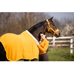 Abschwitzdecke Arezzo Lauria Garrelli Senf Gelb