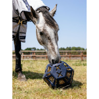 Heuball LeMieux Marineblau