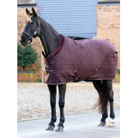 Gefütterte LeMieux Kudos Luxe Stalldecke Pflaume Lila
