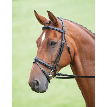Trensenzaum Bodenham Salisbury Shires Schwarz