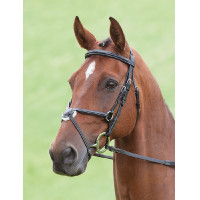 Trense Brackley Salisbury Shires Schwarz Trense Brackley Salisbury Shires Schwarz