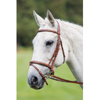 Trense mit kombiniertem Reithalfter Raised Flash Avignon Shires Eiche