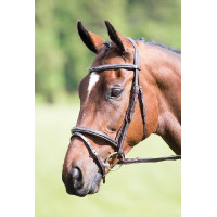 Trense mit kombiniertem Reithalfter Raised Flash Avignon Shires Havanna Braun Trense mit kombiniertem Reithalfter Raised Flash Avignon Shires Havanna Braun