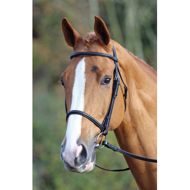 Bridon muserolle française Aviemore Shires Noir Bridon muserolle française Aviemore Shires Noir