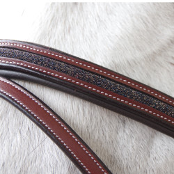 Trensenzaum Flags & Coppa Aachen