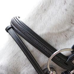 Trensenzaum Flags & Coppa Aachen